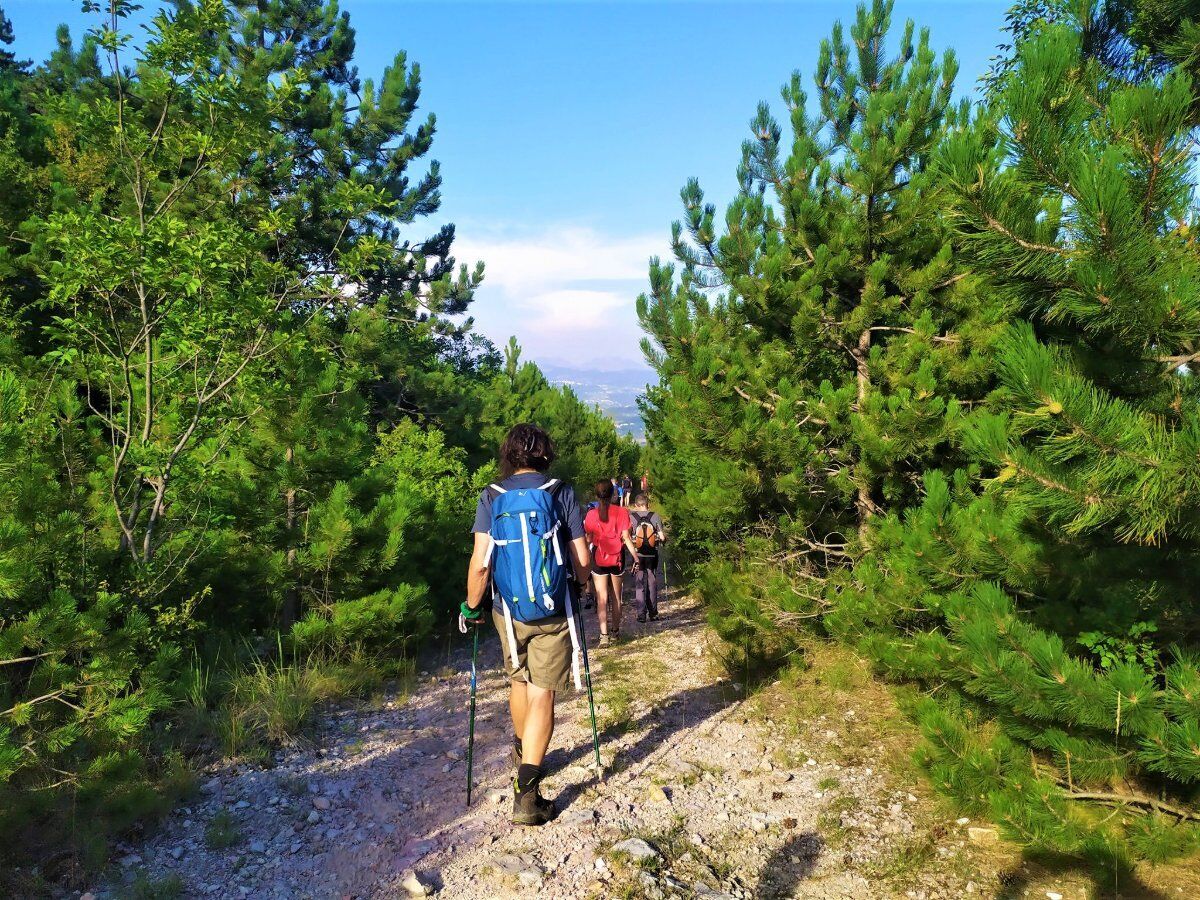 Trekking Panoramico sul Monte Pastello, Lessinia desktop picture