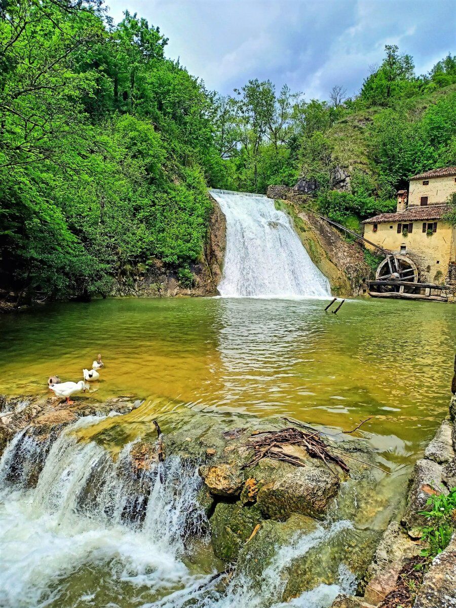 L'Anello del Prosecco: Una Camminata in Val Trippera desktop picture