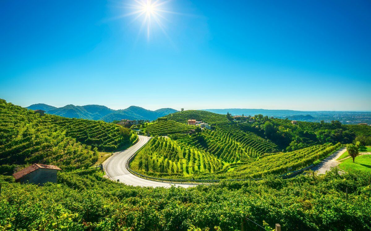 L'Anello del Prosecco: Una Camminata in Val Trippera desktop picture