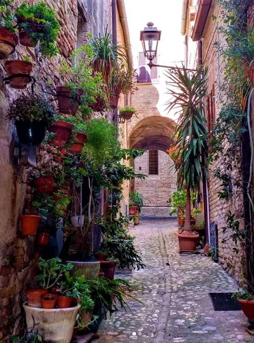 Torre di Palme: un magico Borgo affacciato sull'Adriatico (EVENTO GRATUITO CON CAUZIONE) Torre di Palme: un magico Borgo affacciato sull'Adriatico (EVENTO GRATUITO CON CAUZIONE) desktop picture