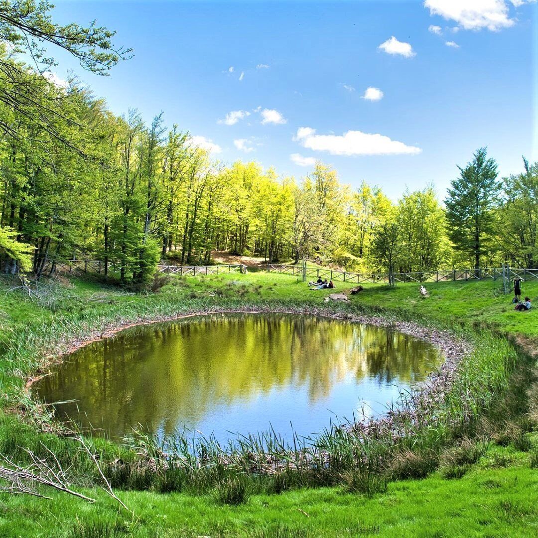 Escursione tra le Sorgenti dell’Arno e il Lago degli Idoli Escursione tra le Sorgenti dell’Arno e il Lago degli Idoli desktop picture