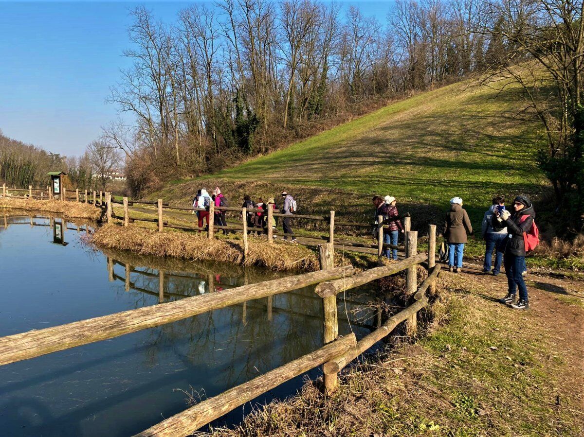 San Colombano al Lambro: un Itinerario tra i vigneti desktop picture