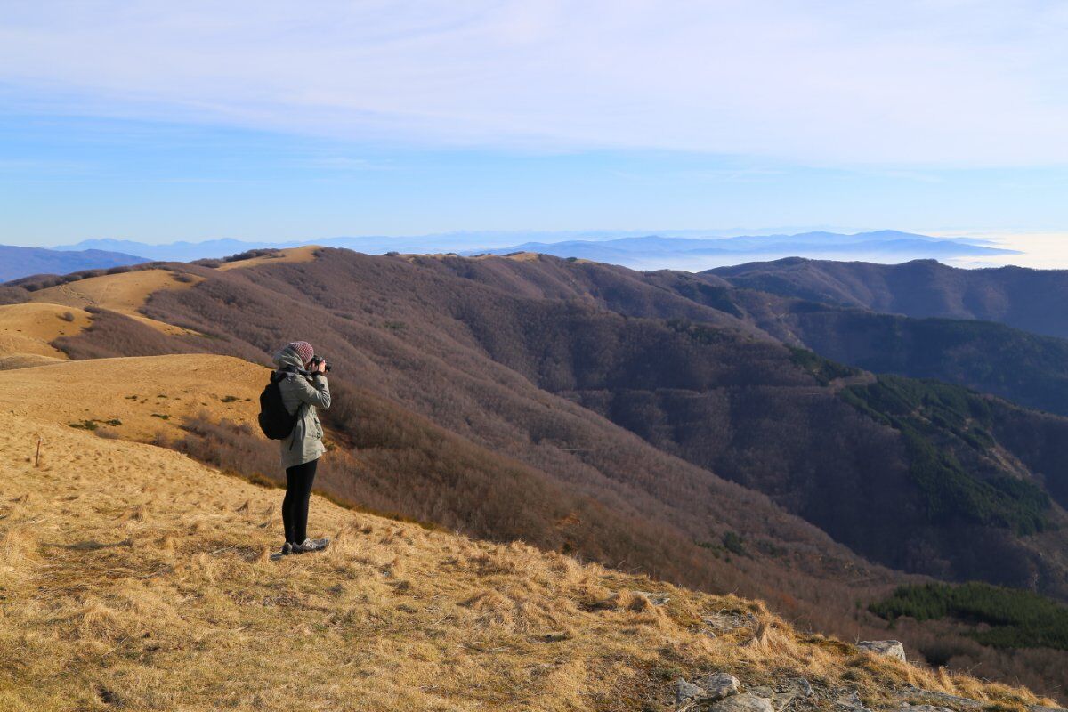 Le Faggete di Pratomagno: Trekking sull’Appennino Toscano desktop picture