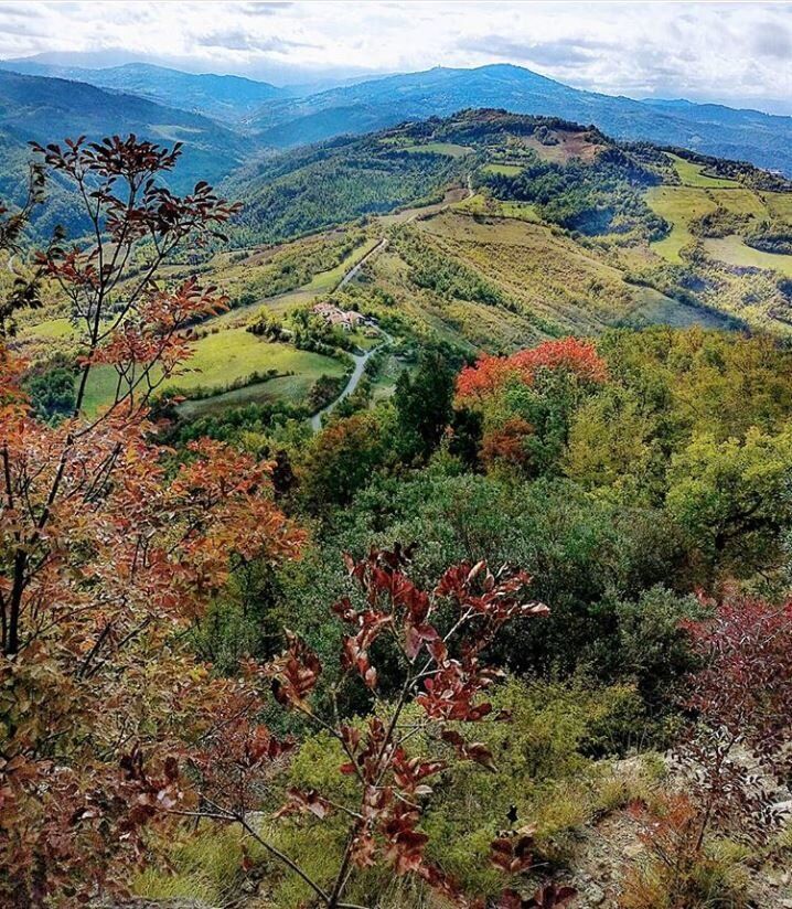 Escursione nella quiete dei Colli Bolognesi: tra arte, storia e natura desktop picture