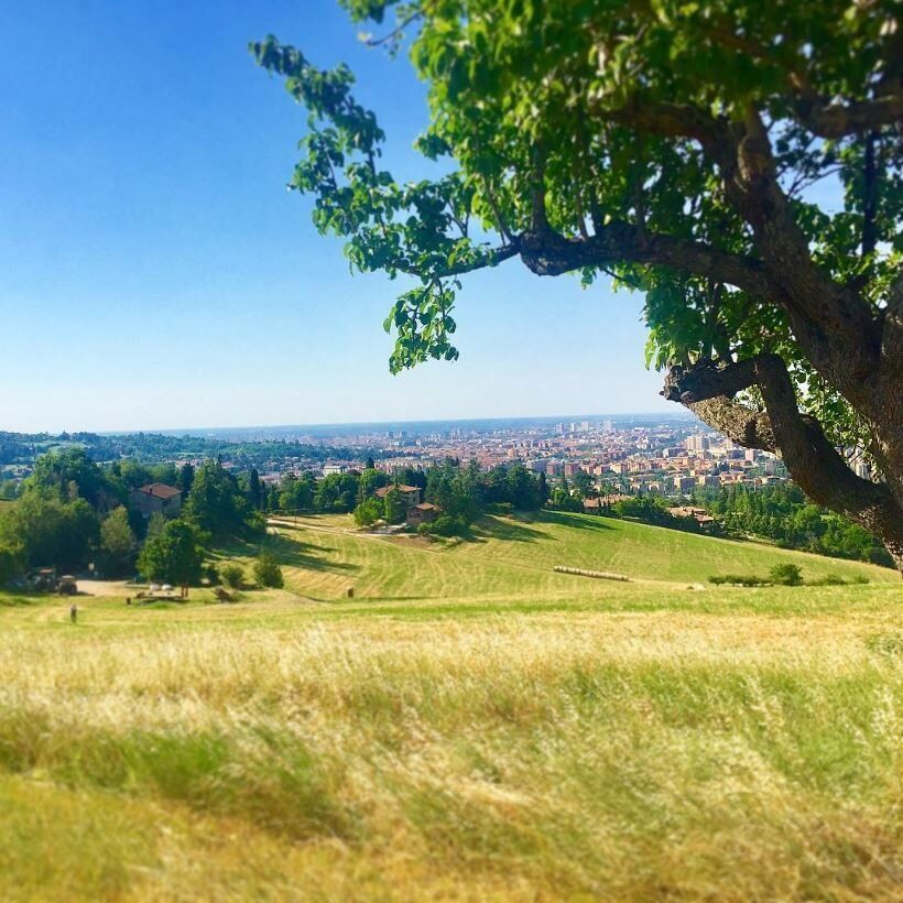 Escursione nella quiete dei Colli Bolognesi: tra arte, storia e natura Escursione nella quiete dei Colli Bolognesi: tra arte, storia e natura desktop picture