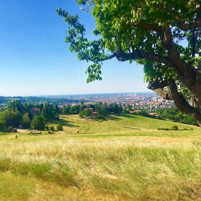 Escursione nella quiete dei Colli Bolognesi: tra arte, storia e natura desktop picture