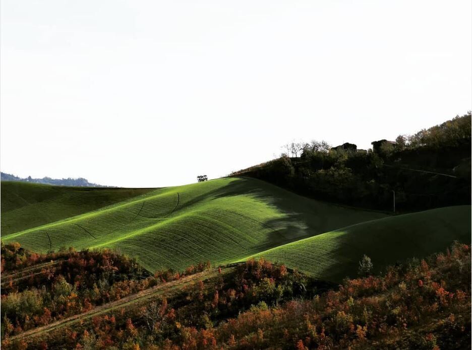 Escursione nella quiete dei Colli Bolognesi: tra arte, storia e natura desktop picture