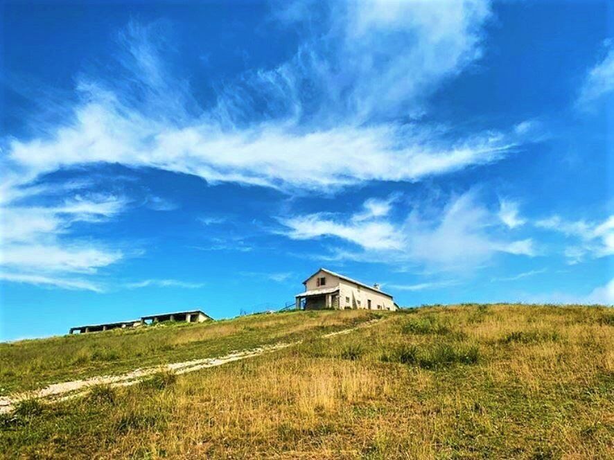 La Lessinia e il Passo Fittanze, un magico percorso tra antiche malghe e faggete secolari La Lessinia e il Passo Fittanze, un magico percorso tra antiche malghe e faggete secolari desktop picture