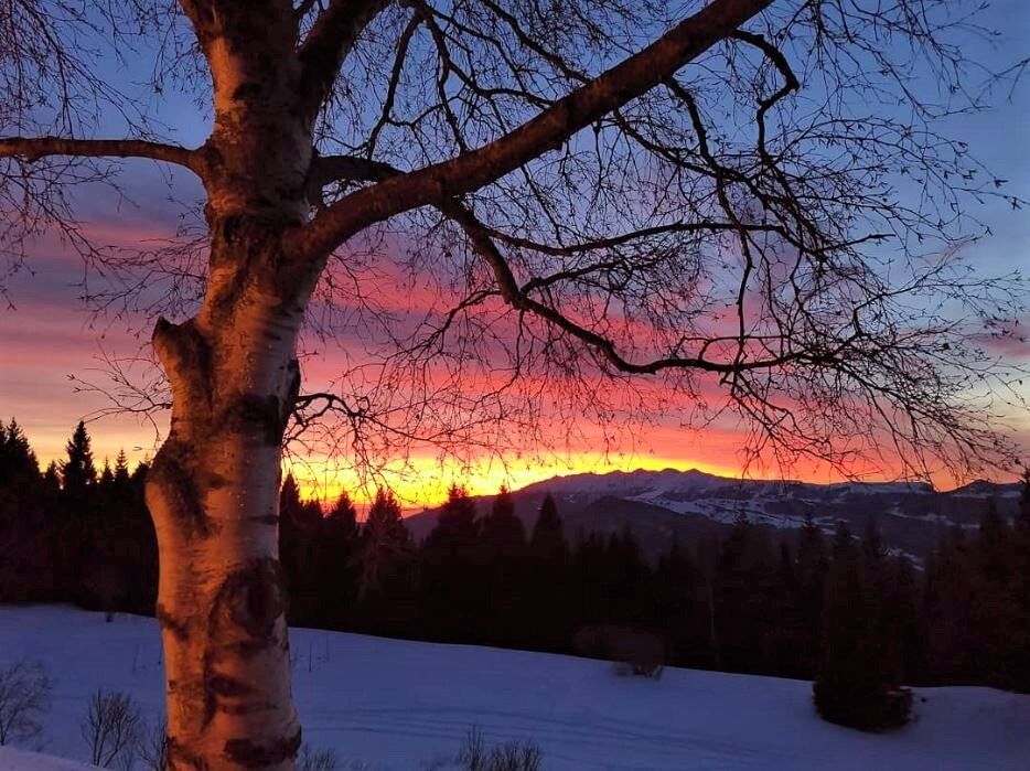 Ciaspolata sul Monte Zugna, la magia del tramonto sulle tracce dei lupi desktop picture