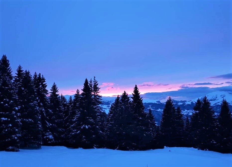 Ciaspolata sul Monte Zugna, la magia del tramonto sulle tracce dei lupi desktop picture