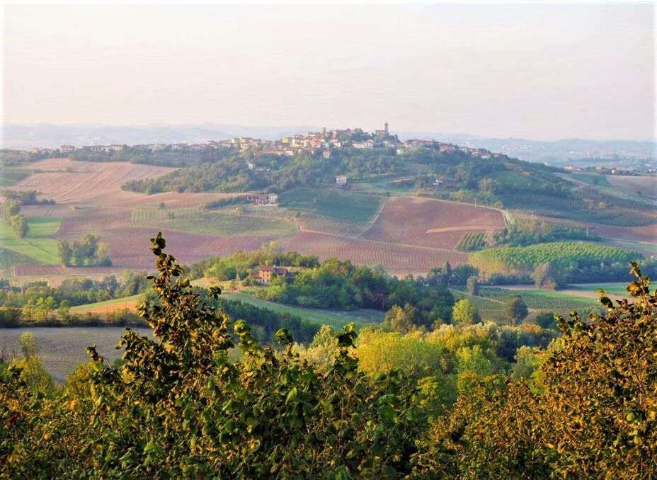 Dolce Itinerario nel Monferrato: Incantevoli Borgate e Scorci Mozzafiato desktop picture