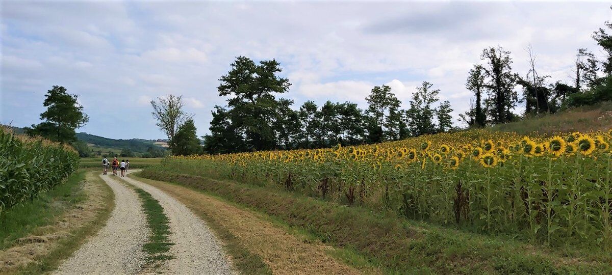 Dolce Itinerario nel Monferrato: Incantevoli Borgate e Scorci Mozzafiato desktop picture