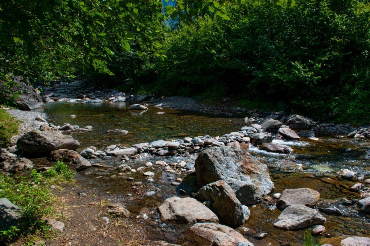 Escursione a Maslana sulle tracce degli stambecchi Escursione a Maslana sulle tracce degli stambecchi desktop picture