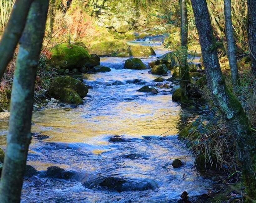 Cison di Valmarino e la Via dell’Acqua: Tra Storia e spaccati di una Natura Autentica Cison di Valmarino e la Via dell’Acqua: Tra Storia e spaccati di una Natura Autentica desktop picture