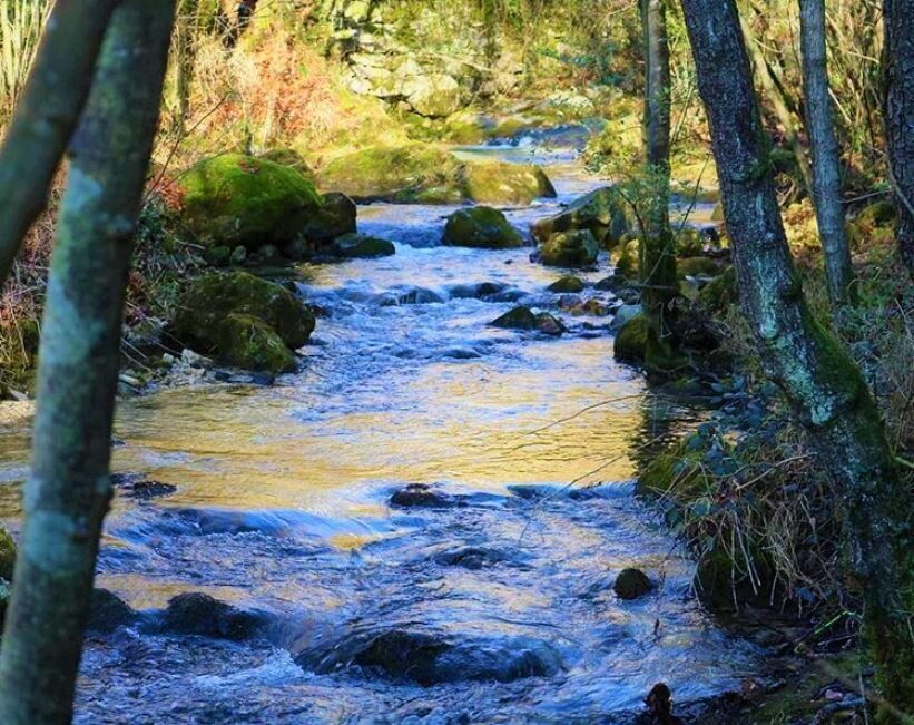 Cison di Valmarino e la Via dell’Acqua: Tra Storia e spaccati di una Natura Autentica desktop picture