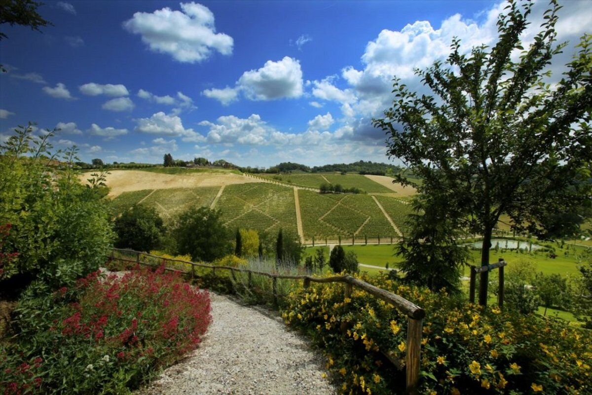 Da Grazzano Badoglio a Casorzo: Passeggiata nei colli del Monferrato desktop picture