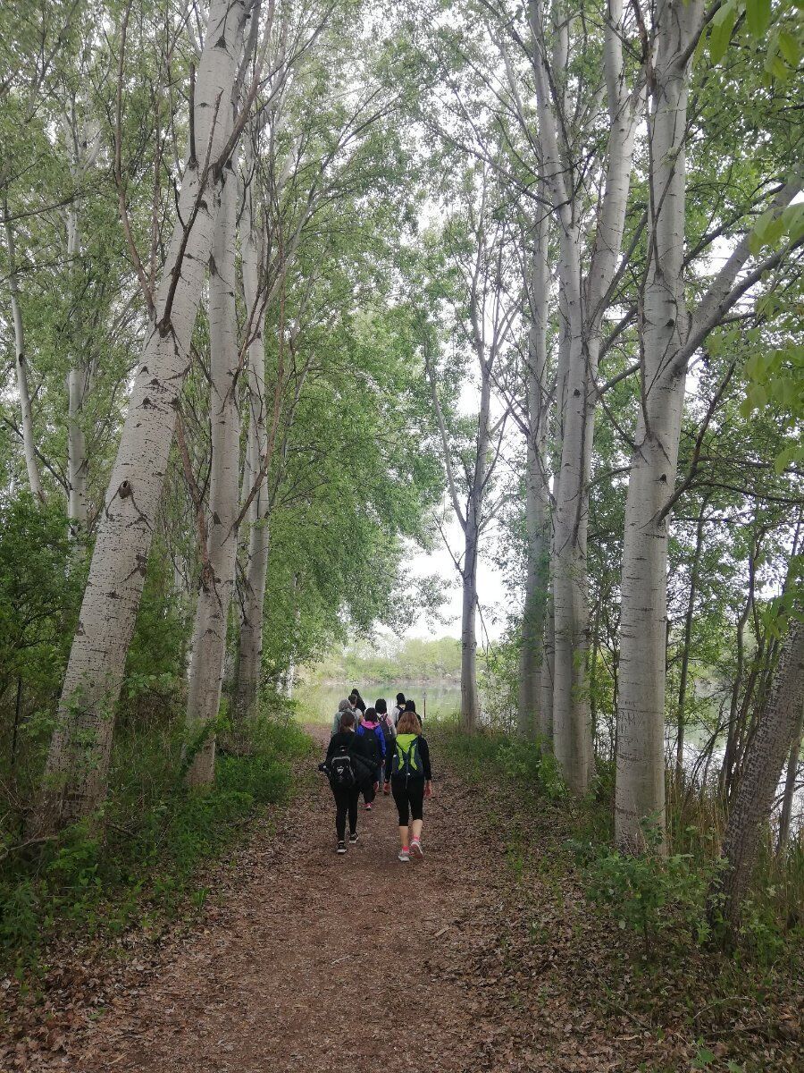 Passeggiata a Cornalese: Il Borgo Fuori dal Tempo Passeggiata a Cornalese: Il Borgo Fuori dal Tempo desktop picture