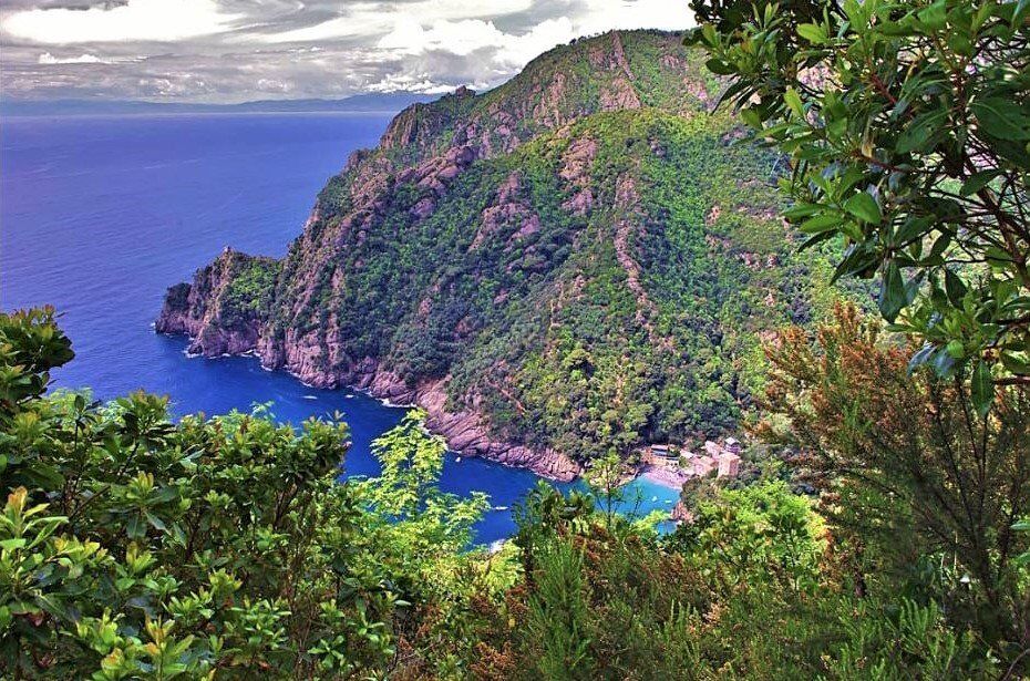 Da San Rocco a Punta Chiappa, Angoli di Paradiso nel Promontorio di Portofino desktop picture
