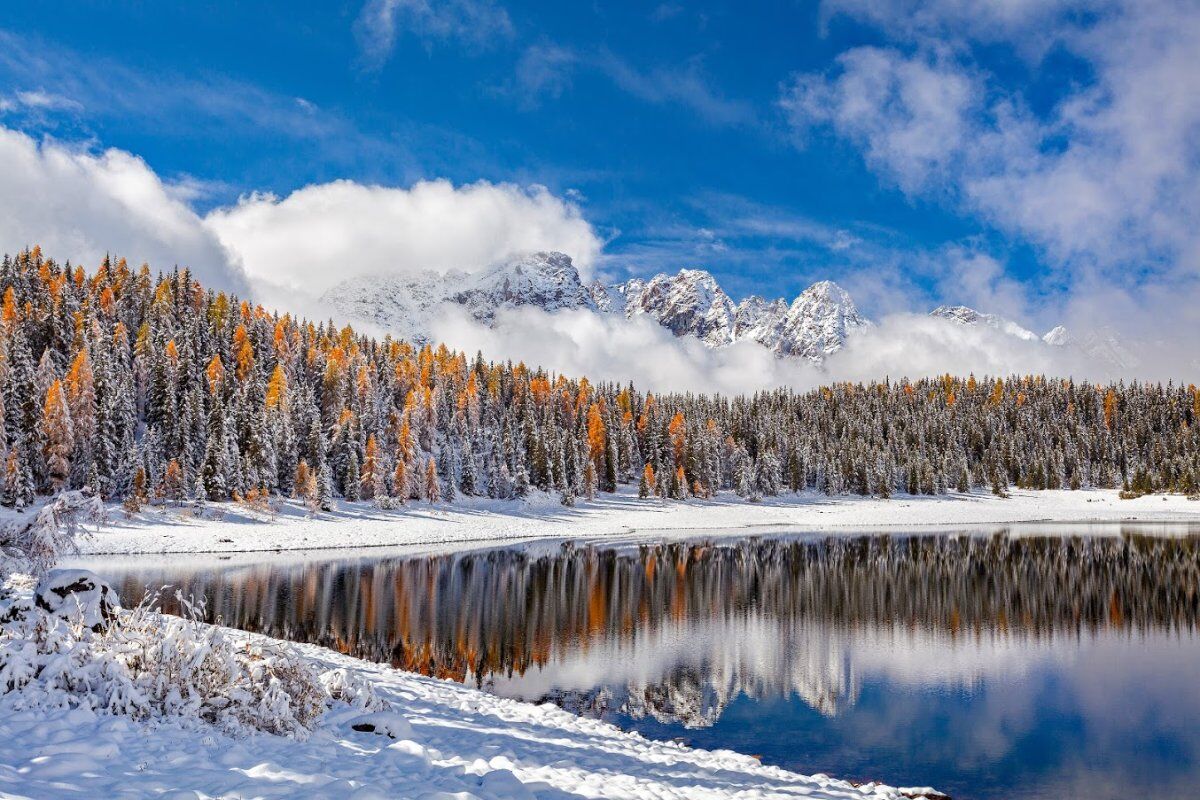 Ciaspolata al Lago Palù esplorando la Natura Addormentata desktop picture