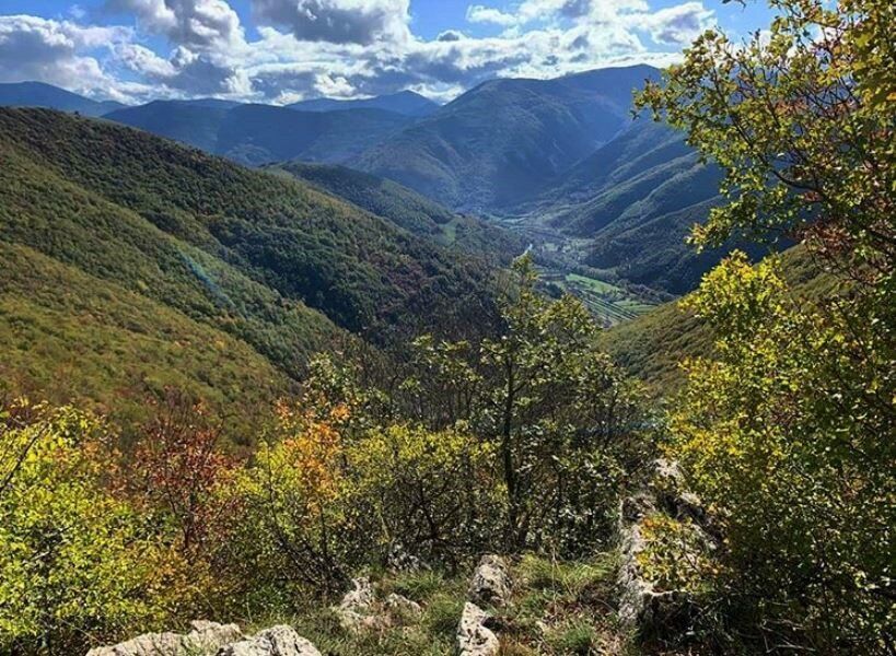 Escursione nella Biodiversità sull'Altopiano di Montelago desktop picture