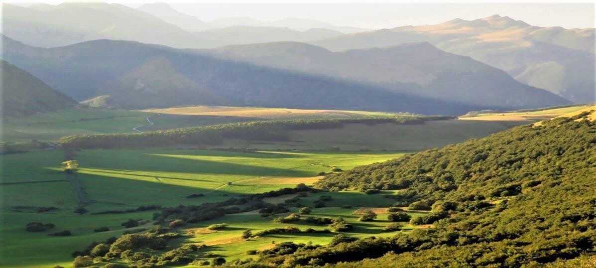 Escursione nella Biodiversità sull'Altopiano di Montelago desktop picture