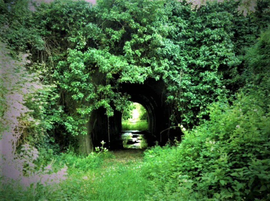 L’antica Ferrovia Lucca-Pontedera, scrigno di interessanti testimonianze storiche desktop picture