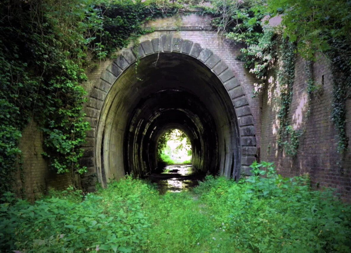 L’antica Ferrovia Lucca-Pontedera, scrigno di interessanti testimonianze storiche desktop picture