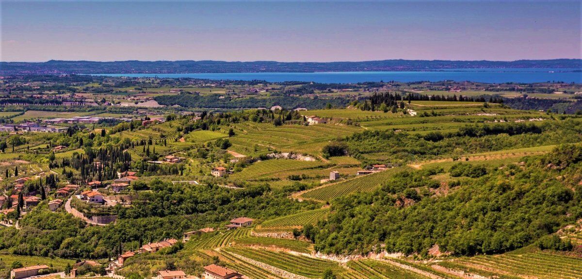 Walking e Yoga nelle Terre dell’Amarone Walking e Yoga nelle Terre dell’Amarone desktop picture