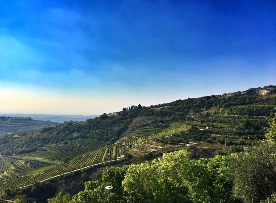 Walking e Yoga nelle Terre dell’Amarone Walking e Yoga nelle Terre dell’Amarone desktop picture