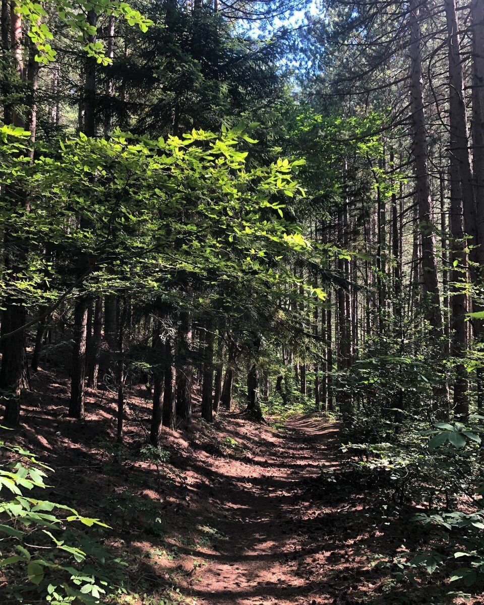 Trekking a Montecreto: tra suggestive miniere e tesori paesaggistici Trekking a Montecreto: tra suggestive miniere e tesori paesaggistici desktop picture