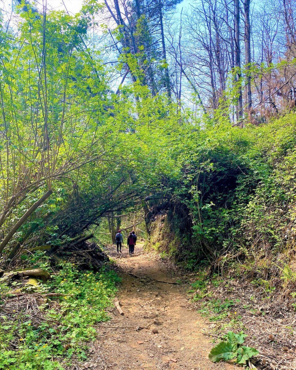 Il Moriglion di Penna: Itinerario nell'Appennino Lucchese Il Moriglion di Penna: Itinerario nell'Appennino Lucchese desktop picture