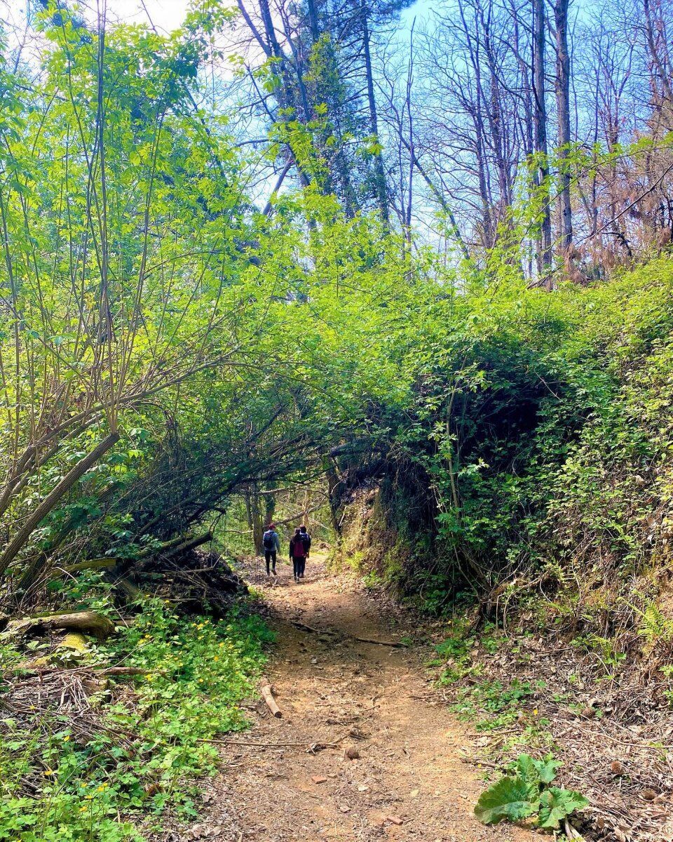 Il Moriglion di Penna: Itinerario nell'Appennino Lucchese desktop picture