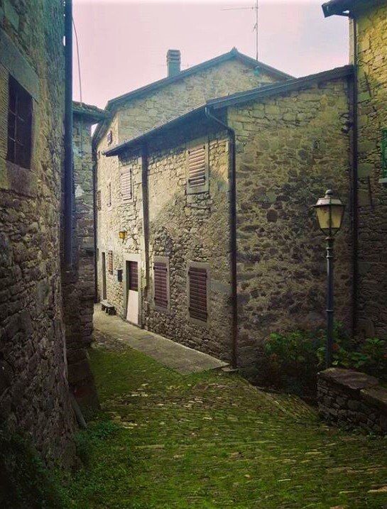 Trekking tra le perle del Modenese con cena in trattoria desktop picture