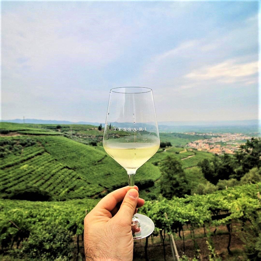 Cantina Tessari: Degustazione di Vino Veronese tra tradizioni e sapori Cantina Tessari: Degustazione di Vino Veronese tra tradizioni e sapori desktop picture