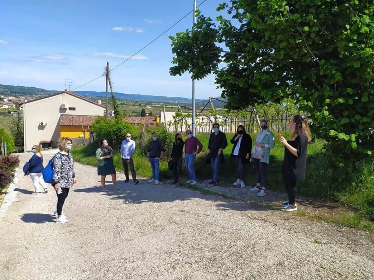 Cantina Tessari: Degustazione di Vino Veronese tra tradizioni e sapori Cantina Tessari: Degustazione di Vino Veronese tra tradizioni e sapori desktop picture