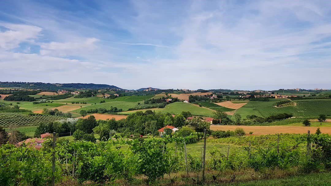 Da Moncalvo a Penango: I Dolci Sentieri del Monferrato Da Moncalvo a Penango: I Dolci Sentieri del Monferrato desktop picture