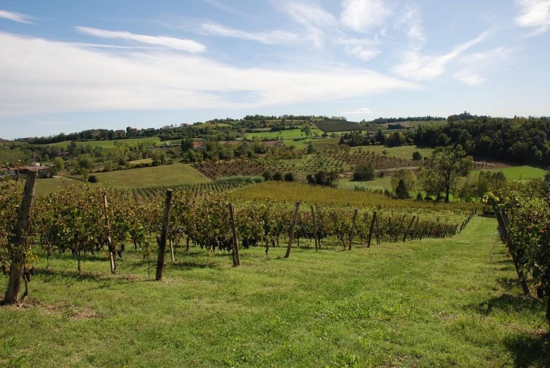 Da Moncalvo a Penango: I Dolci Sentieri del Monferrato Da Moncalvo a Penango: I Dolci Sentieri del Monferrato desktop picture
