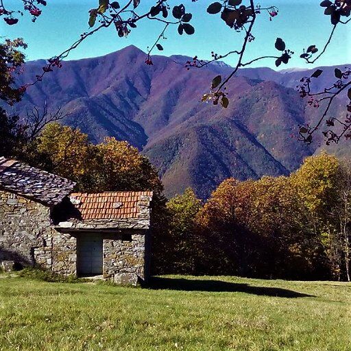 Tra Toscana ed Emilia: Trekking tra i Tesori dell'Appennino desktop picture