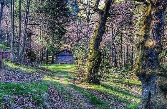 Tra Toscana ed Emilia: Trekking tra i Tesori dell'Appennino Tra Toscana ed Emilia: Trekking tra i Tesori dell'Appennino desktop picture