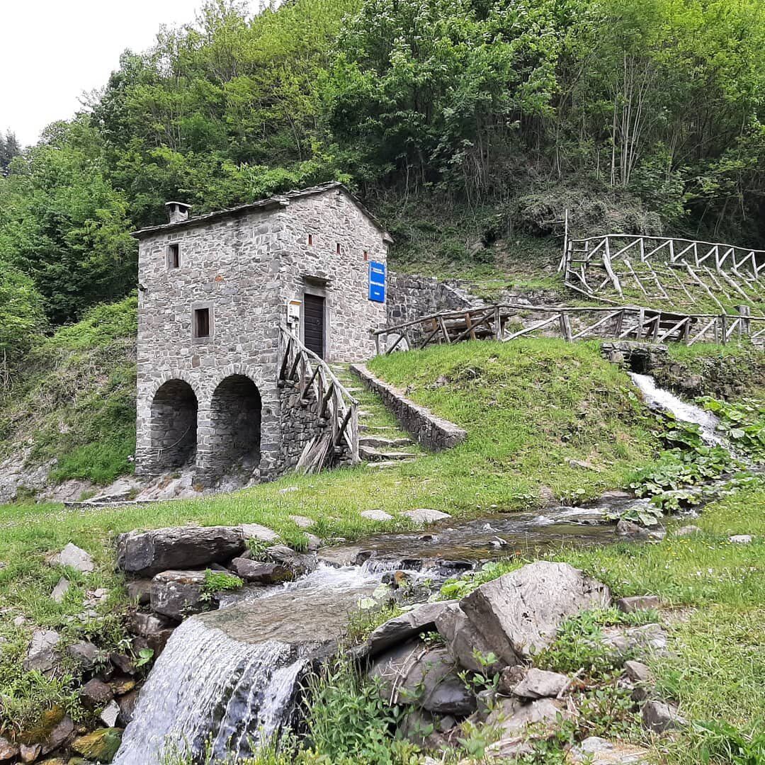 Una Camminata Cullati dalla Natura di Orsigna, il Borgo di Tiziano Terzani desktop picture