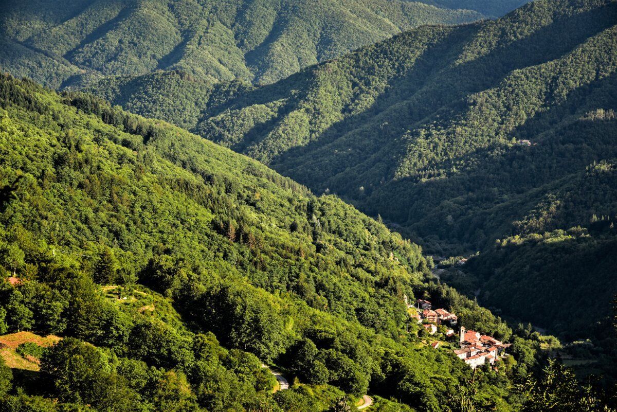 Una Camminata Cullati dalla Natura di Orsigna, il Borgo di Tiziano Terzani desktop picture