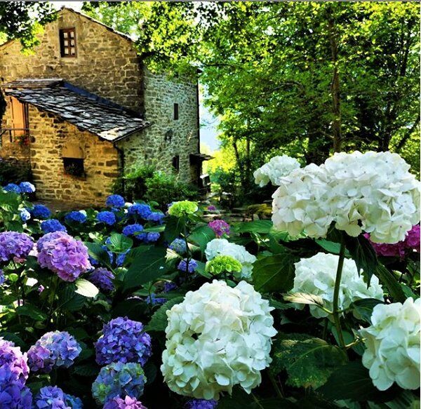 Tresana e Le Ortensie: Escursione nel Borgo Dai Mille Colori desktop picture