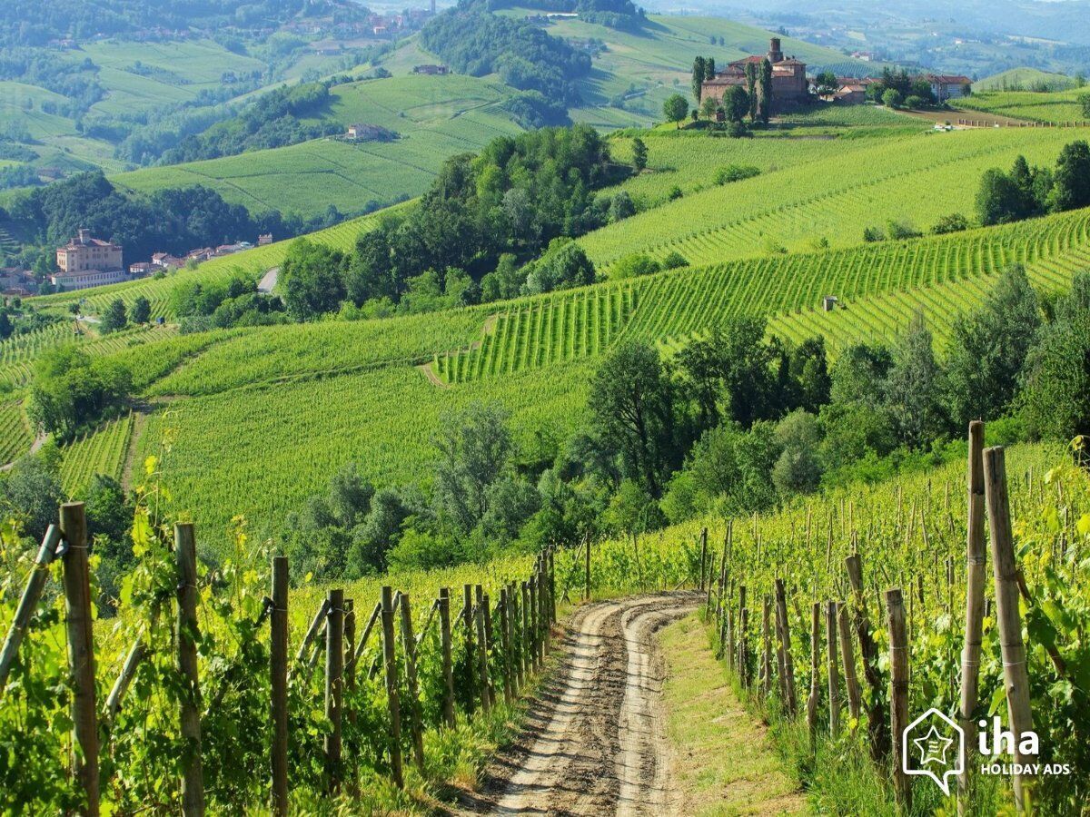 Loazzolo e i Sentieri del Vino: Terre dal Fascino Senza Tempo desktop picture