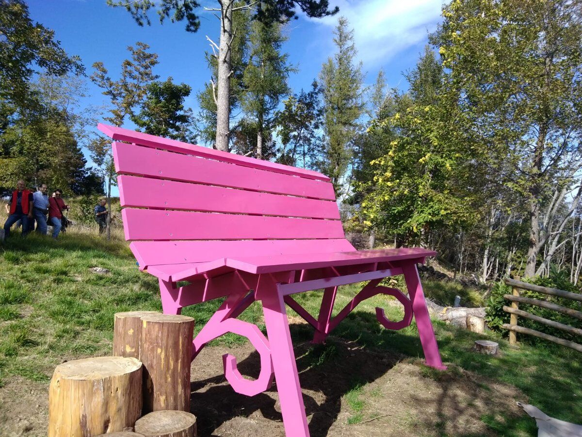 Escursione tra i vigneti di Alice Bel Colle: la Big Bench Rosa Escursione tra i vigneti di Alice Bel Colle: la Big Bench Rosa desktop picture