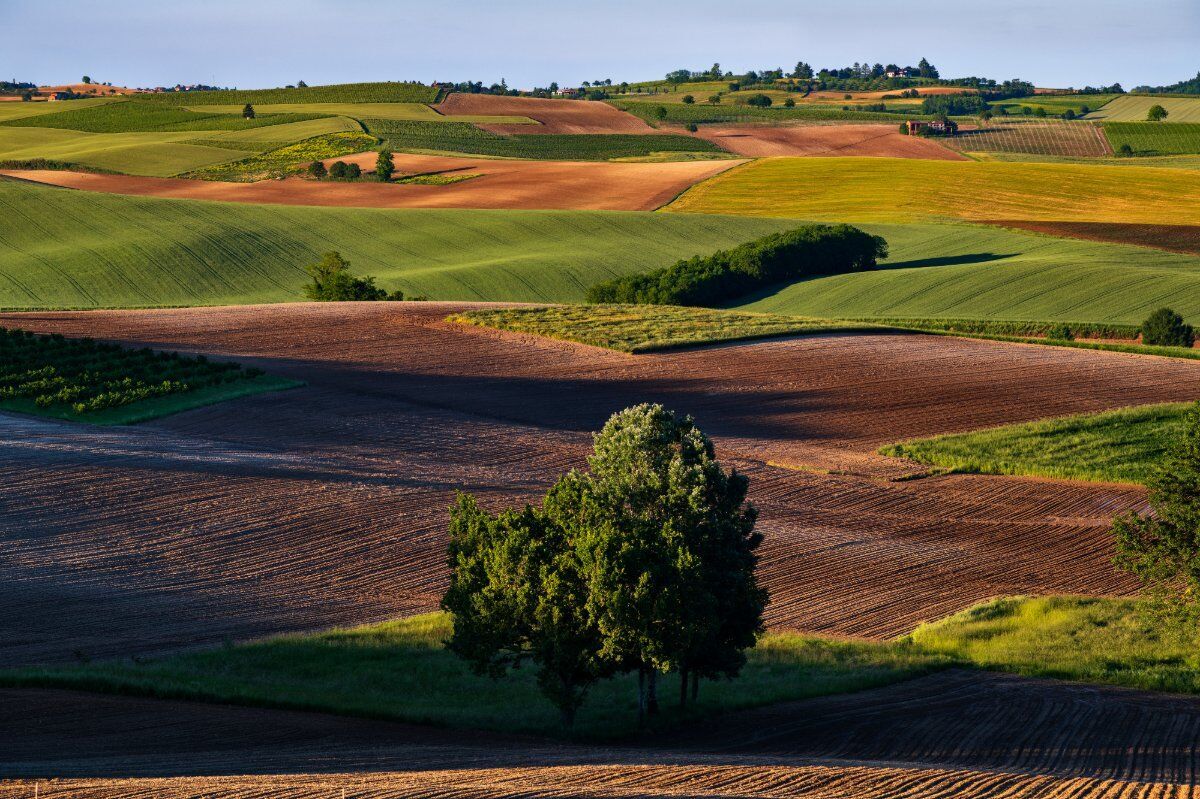 Nelle Colline del Monferrato: Escursione tra Storia e Natura desktop picture