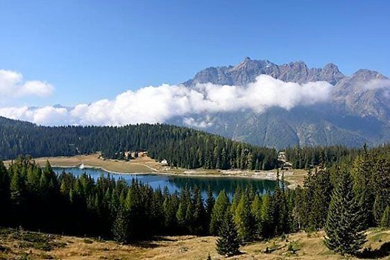 Orienteering al Lago Palù: Esperienza in Simbiosi con la Natura desktop picture