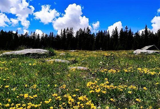 Orienteering al Lago Palù: Esperienza in Simbiosi con la Natura desktop picture