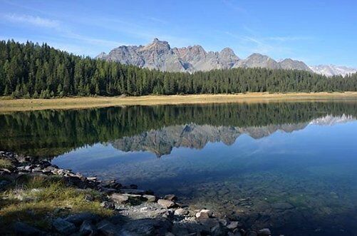 Orienteering al Lago Palù: Esperienza in Simbiosi con la Natura desktop picture