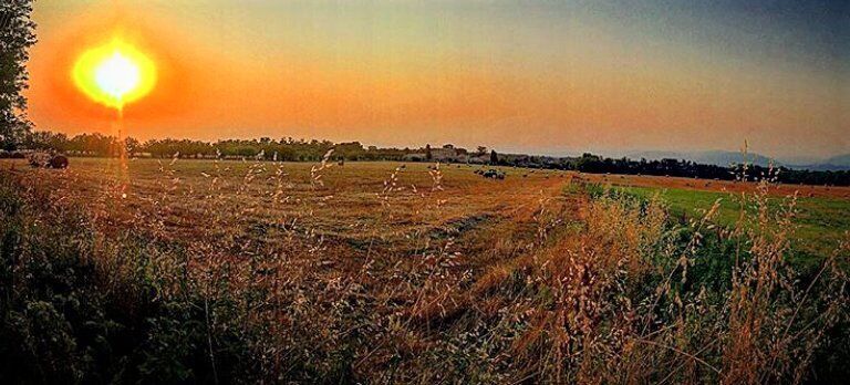 Escursione Serale per Scoprire il Suggestivo Mondo dei Rapaci Notturni Escursione Serale per Scoprire il Suggestivo Mondo dei Rapaci Notturni desktop picture