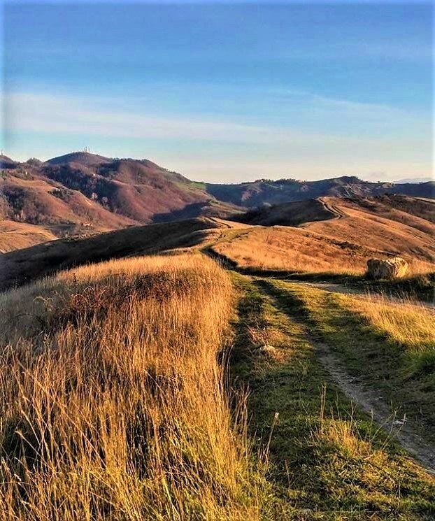 Lungo la Rinomata Via del Gesso degli Artisti: Il Parco dei Gessi dell’Abbadessa Lungo la Rinomata Via del Gesso degli Artisti: Il Parco dei Gessi dell’Abbadessa desktop picture